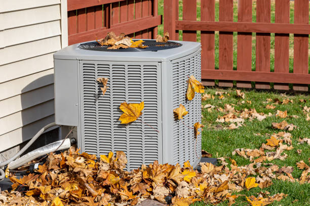 Best Best HVAC companies  in Cambria, IL